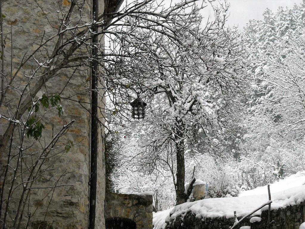 La Piazzetta Di Canale B&B Tenno Exterior foto